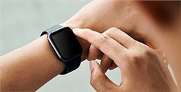 EPT電池品質(zhì)高，鎳氫和鋰電都表現(xiàn)不俗